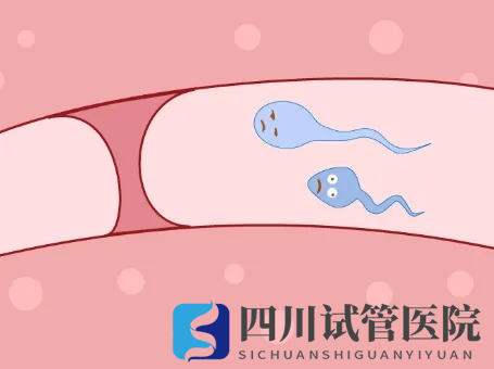 输卵管堵塞怎么办？做手术还是做试管婴儿好？(图1)