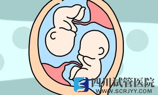 三代试管做双生子的条件，胚胎质量和卵巢功能好才能做(图1)