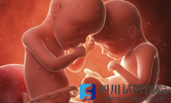 三代试管做双生子的条件，胚胎质量和卵巢功能好才能做(图3)